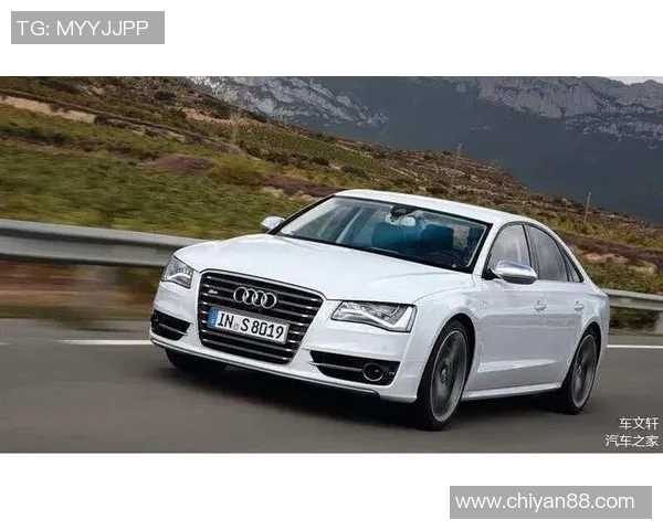 南京足球队在联合会杯中的心理素质分析与表现评估